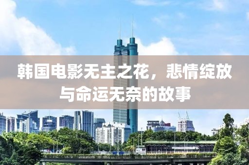 韩国电影无主之花，悲情绽放与命运无奈的故事