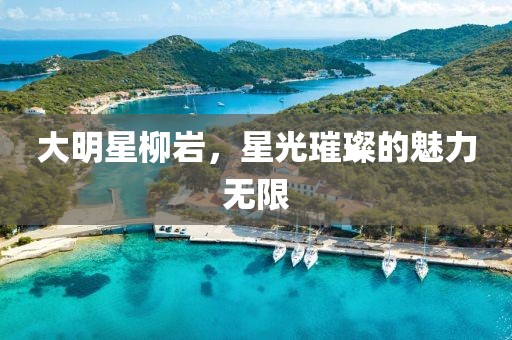 大明星柳岩，星光璀璨的魅力无限