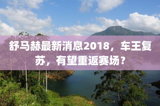 舒马赫最新消息2018，车王复苏，有望重返赛场？