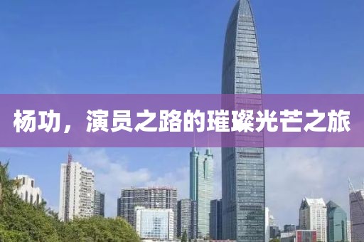 杨功，演员之路的璀璨光芒之旅