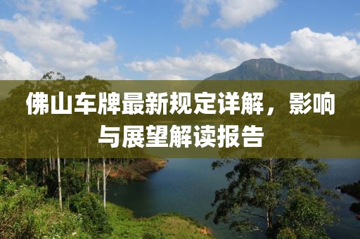 佛山车牌最新规定详解，影响与展望解读报告