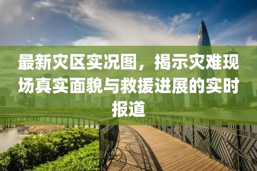 最新灾区实况图，揭示灾难现场真实面貌与救援进展的实时报道