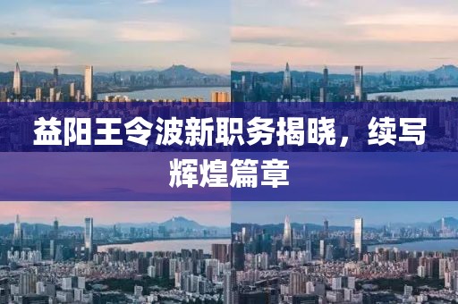 益阳王令波新职务揭晓，续写辉煌篇章
