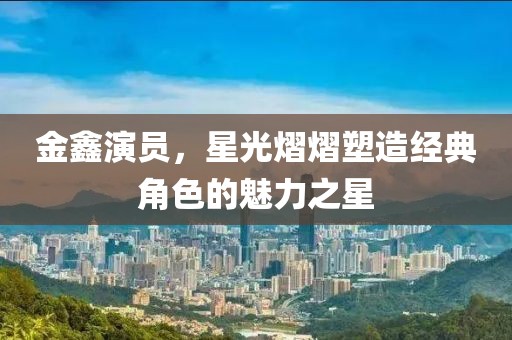 金鑫演员，星光熠熠塑造经典角色的魅力之星