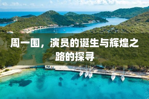 周一围，演员的诞生与辉煌之路的探寻