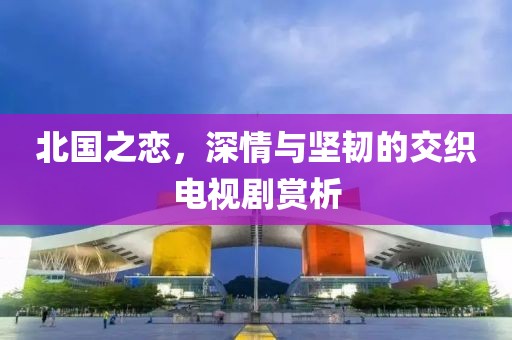 北国之恋，深情与坚韧的交织电视剧赏析