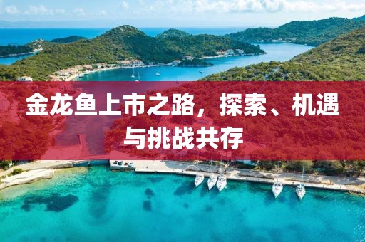 金龙鱼上市之路，探索、机遇与挑战共存