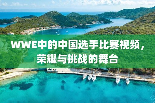WWE中的中国选手比赛视频，荣耀与挑战的舞台