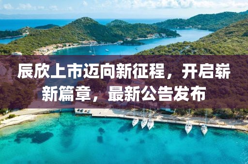 辰欣上市迈向新征程，开启崭新篇章，最新公告发布