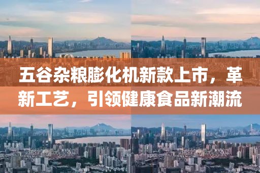 五谷杂粮膨化机新款上市，革新工艺，引领健康食品新潮流