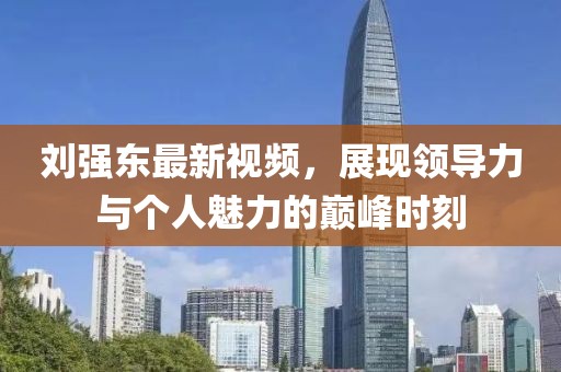 刘强东最新视频，展现领导力与个人魅力的巅峰时刻