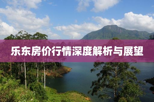乐东房价行情深度解析与展望
