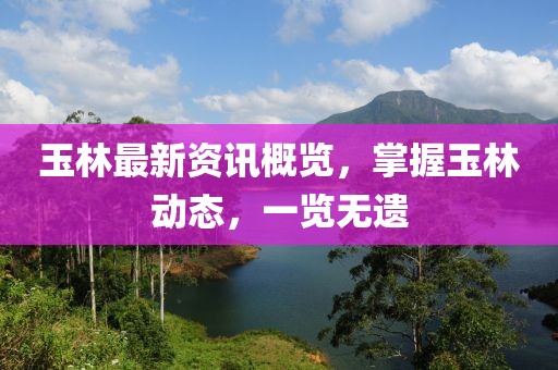 玉林最新资讯概览，掌握玉林动态，一览无遗
