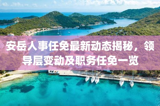 安岳人事任免最新动态揭秘，领导层变动及职务任免一览