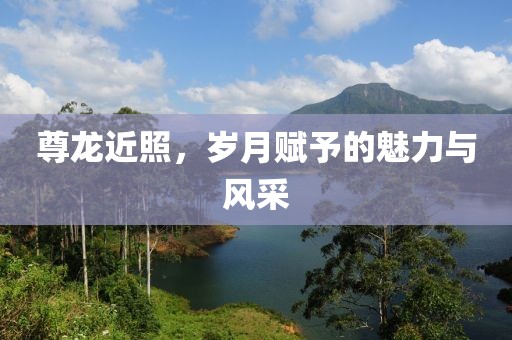 尊龙近照，岁月赋予的魅力与风采