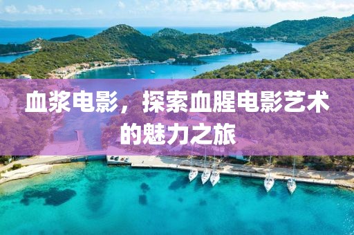 血浆电影，探索血腥电影艺术的魅力之旅