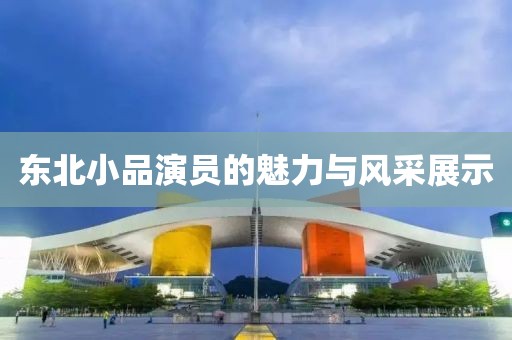 东北小品演员的魅力与风采展示