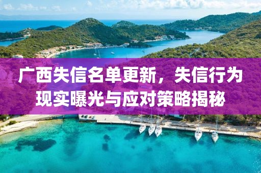 广西失信名单更新，失信行为现实曝光与应对策略揭秘