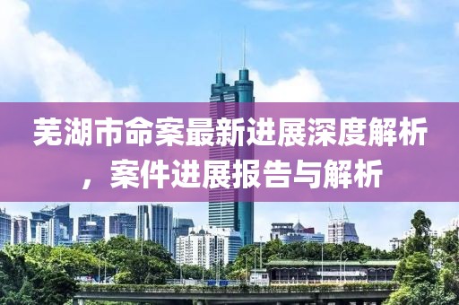 芜湖市命案最新进展深度解析，案件进展报告与解析