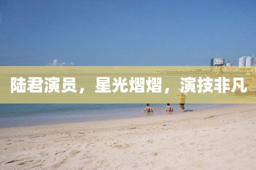 陆君演员，星光熠熠，演技非凡