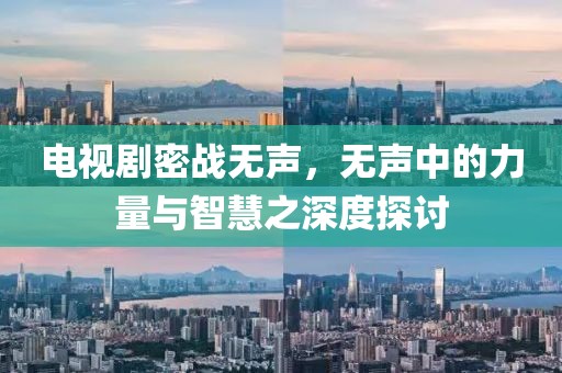 电视剧密战无声，无声中的力量与智慧之深度探讨