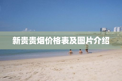 新贵贵烟价格表及图片介绍