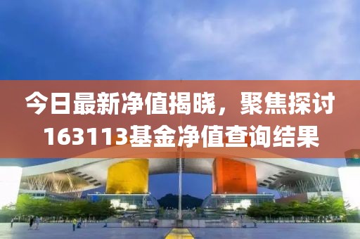今日最新净值揭晓，聚焦探讨163113基金净值查询结果