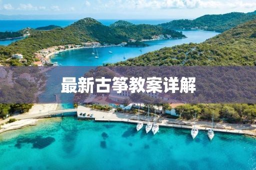 最新古筝教案详解