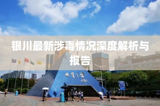 银川最新涉毒情况深度解析与报告