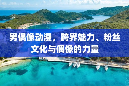 男偶像动漫，跨界魅力、粉丝文化与偶像的力量
