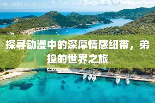 探寻动漫中的深厚情感纽带，弟控的世界之旅