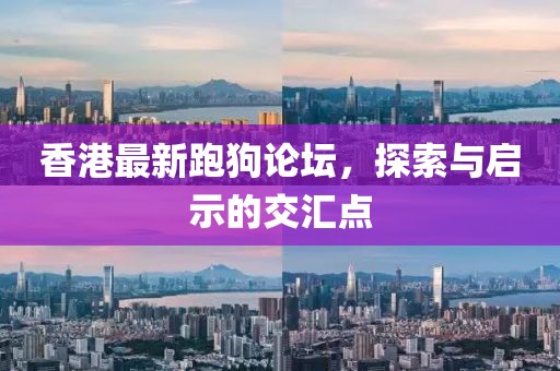 香港最新跑狗论坛，探索与启示的交汇点