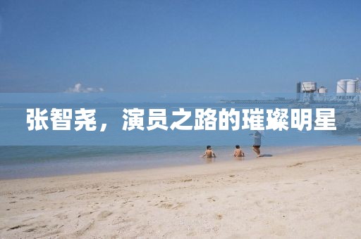 张智尧，演员之路的璀璨明星