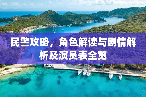 民警攻略，角色解读与剧情解析及演员表全览