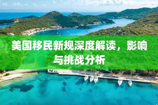 美国移民新规深度解读，影响与挑战分析