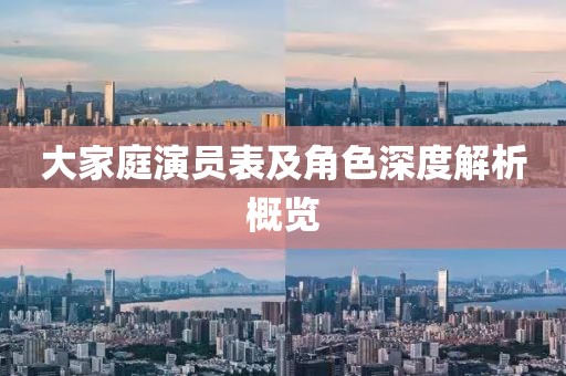 大家庭演员表及角色深度解析概览