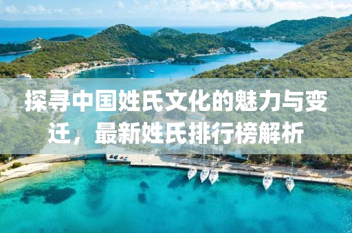 探寻中国姓氏文化的魅力与变迁，最新姓氏排行榜解析