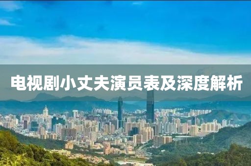 电视剧小丈夫演员表及深度解析