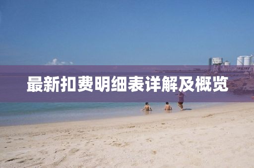 最新扣费明细表详解及概览