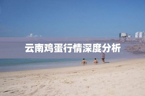云南鸡蛋行情深度分析
