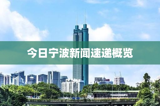 今日宁波新闻速递概览