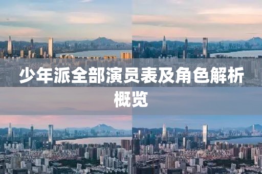 少年派全部演员表及角色解析概览