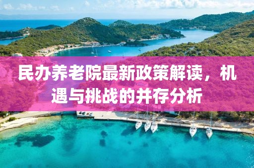 民办养老院最新政策解读，机遇与挑战的并存分析