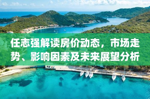 任志强解读房价动态，市场走势、影响因素及未来展望分析