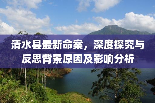 清水县最新命案，深度探究与反思背景原因及影响分析