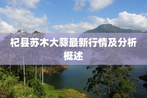杞县苏木大蒜最新行情及分析概述