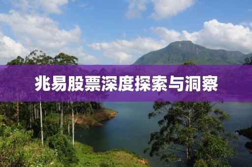 兆易股票深度探索与洞察