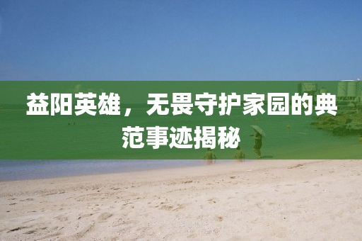 益阳英雄，无畏守护家园的典范事迹揭秘