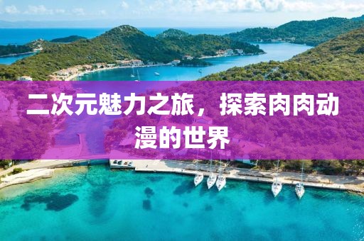 二次元魅力之旅，探索肉肉动漫的世界