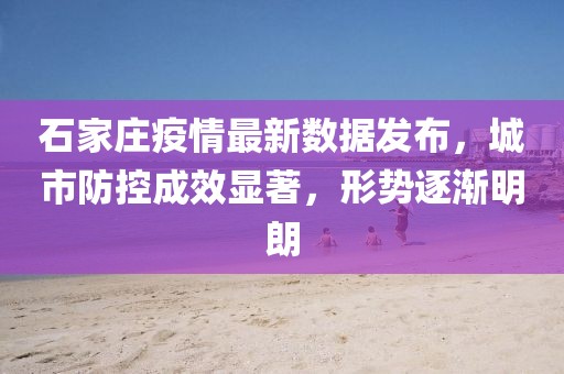 石家庄疫情最新数据发布，城市防控成效显著，形势逐渐明朗